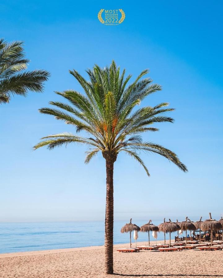 Puerto Banus Apartamento Lola マルベーリャ エクステリア 写真